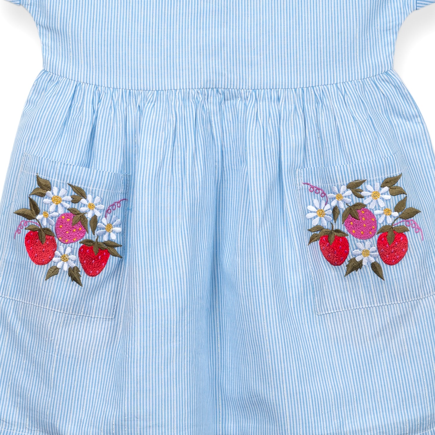 Strawberry Embroidered Dress | Blue Stripes