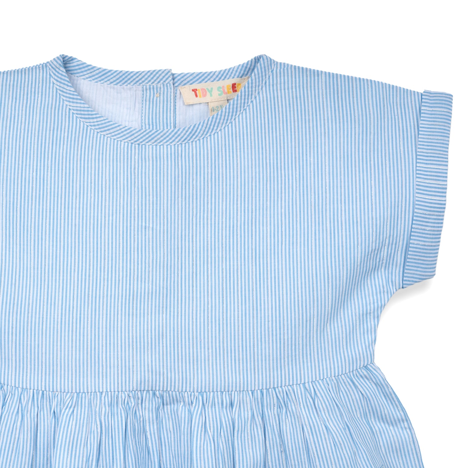 Strawberry Embroidered Dress | Blue Stripes