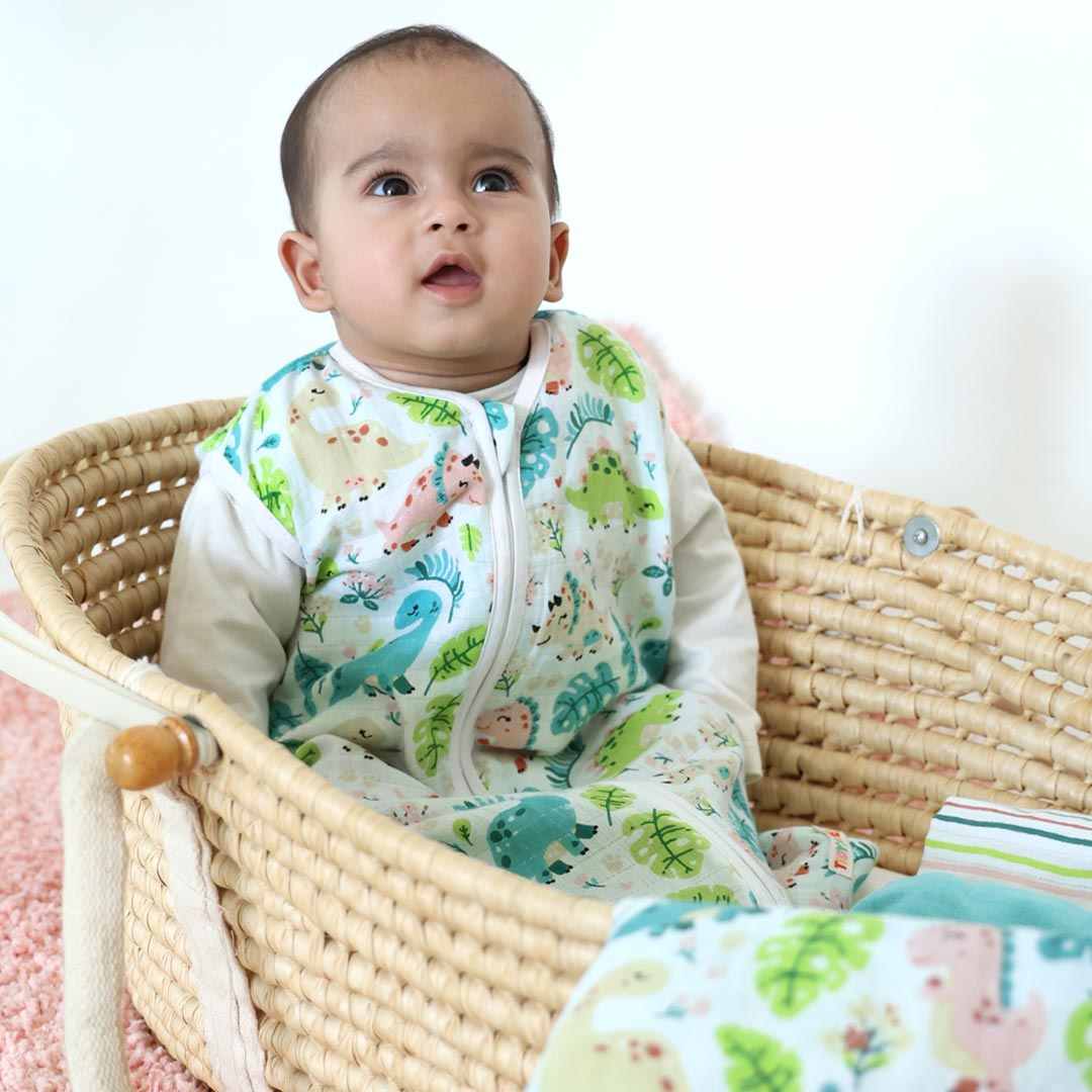 Sleeping Bag – Little Dino