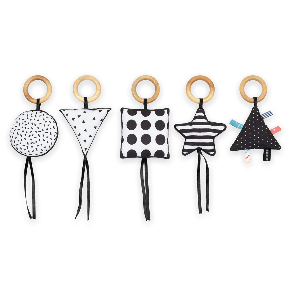 High Contrast Sensory Toys - Set of 5