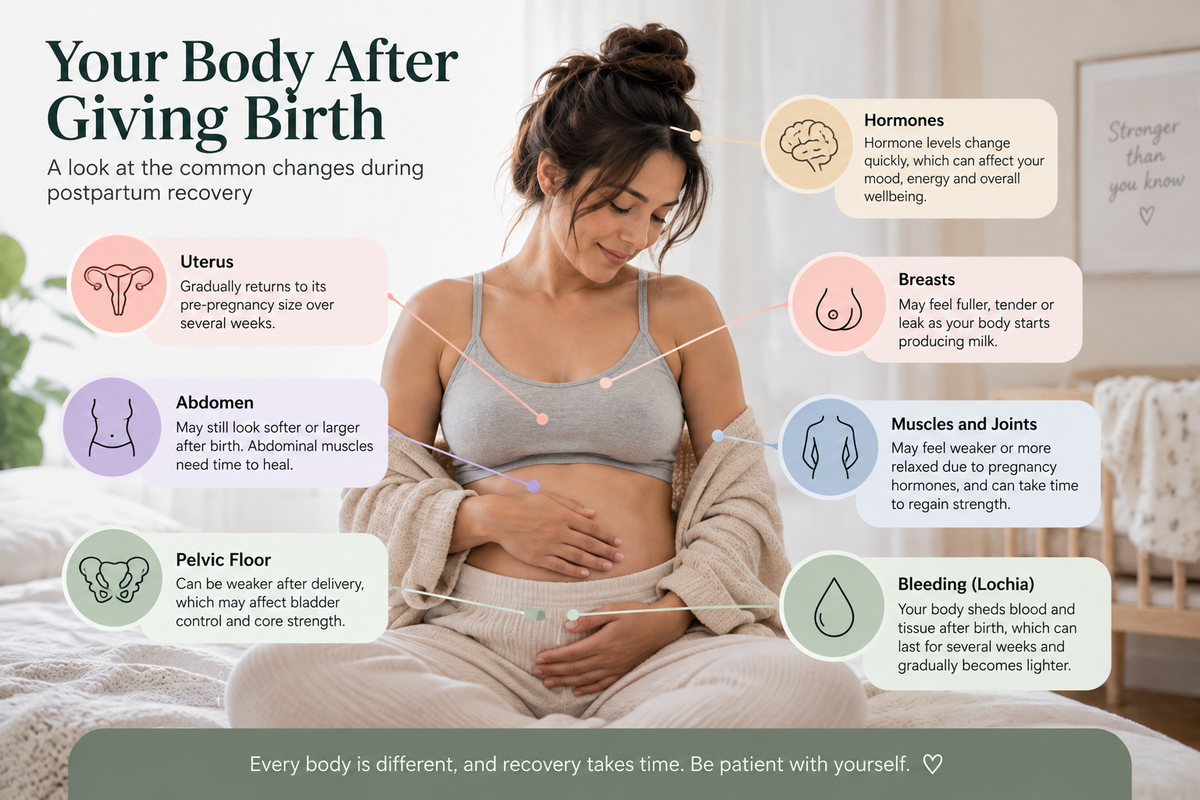 Infographic showing common postpartum body changes after giving birth, including changes to the uterus, abdomen, pelvic floor, breasts, hormones, muscles and joints, and postpartum bleeding.