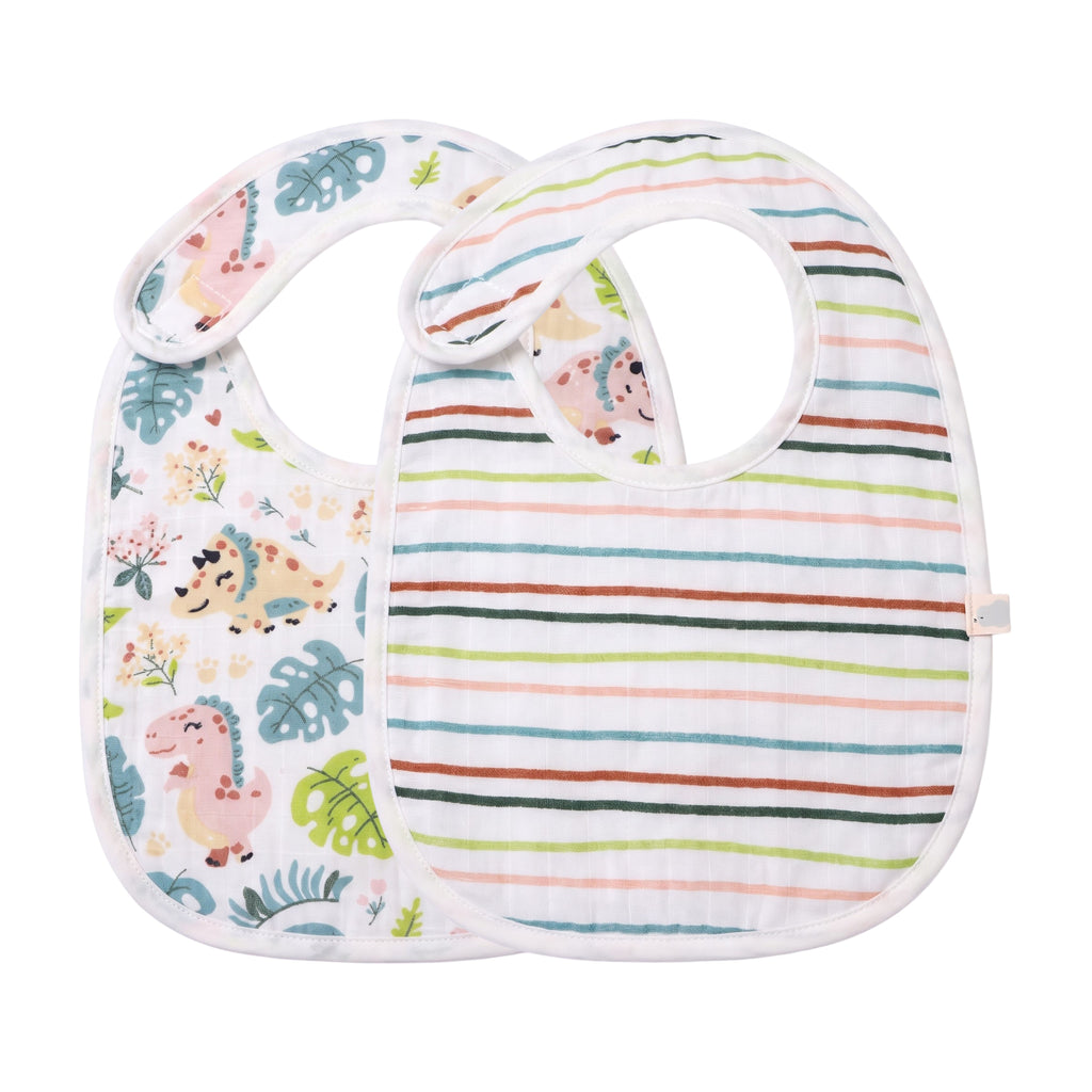 Bibs for Newborns - Dino Girl | Set of 2