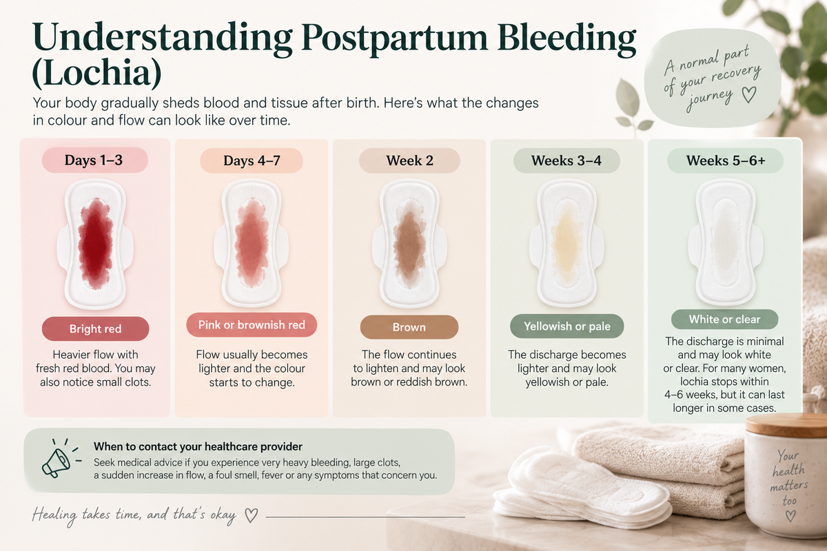 Infographic explaining postpartum bleeding (lochia), showing how blood flow and color typically change from bright red during days 1–3 to lighter, brown, yellowish, and eventually white or clear discharge over 6 weeks.