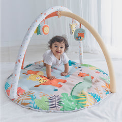 Baby Play Mat